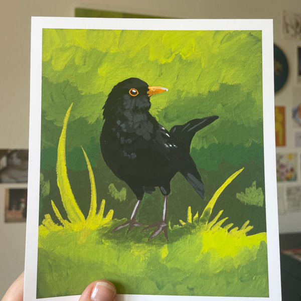 Common Blackbird - Print