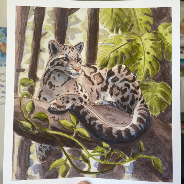 Clouded Leopard - Print