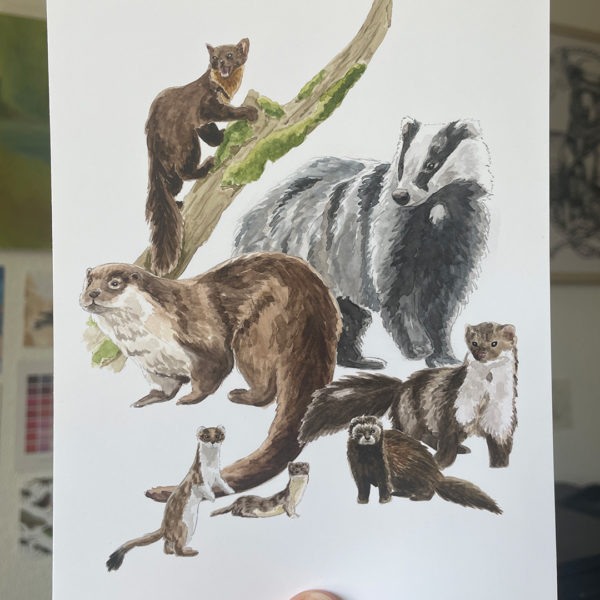 Swiss Mustelids - Print