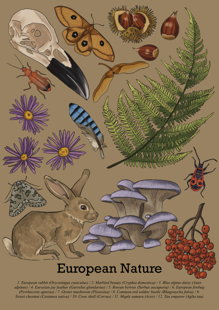 Naturbeobachtungen Poster n°2
